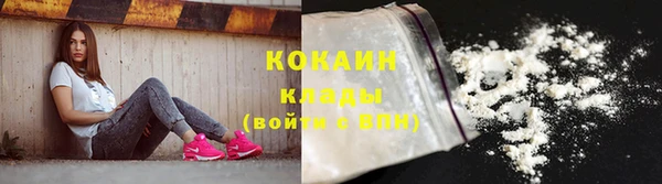 индика Михайлов