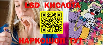 стафф Донецк