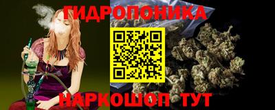 стафф Донецк