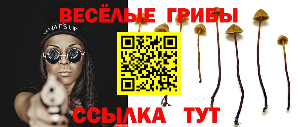 Нижнеудинск  Галлюциногенные грибы Cubensis  Галлюциногенные грибы Magic Shrooms  Вход с VPN 